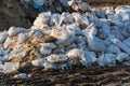 Huge landfill of garbage. Garbage or waste dumped. Garbage in the bags