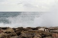 Huge mass of water hit a rocky cliff. The crazy Mediterranean sea rustles and attacks all the rocks and wants to get out of his Royalty Free Stock Photo