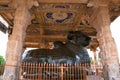 Huge monolithic Nandi, Brihadisvara Temple, Tanjore, Tamil Nadu