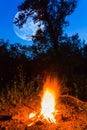 Huge moon above camp fire on forest glade