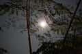 A huge moon is rising behind the tree branches. Royalty Free Stock Photo
