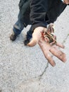 A huge moth w/ short lifespan