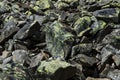 Huge mountain stones fell from the top of the mountain and were overgrown with lichens