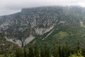 Huge mountains with pine trees and lush vegetation covered by gray clouds Royalty Free Stock Photo