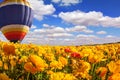 Huge multicolored balloon