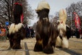 Huge Mummers Costumes Hairy