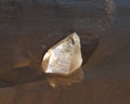 Huge natural Citrine Cathedral Quartz from Brazil laying on wet sand on the beach