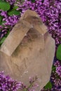 Huge natural Citrine Cathedral Quartz from Brazil surrounded by purple lilac flower.