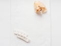 Huge natural seashell on a white towel and pedicure finger separator. Personal care at home