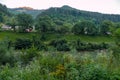 A huge number of field grasses and flowers are located near the river and the majestic green mountains Royalty Free Stock Photo