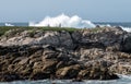 Huge ocean waves, Monterey Bay