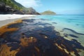 A huge oil spill at the coast of a paradise beach created with generative AI technology