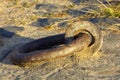 Huge, old, rusted shackle in the woods