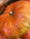 Huge Orange Halloween Pumpkin