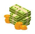 Huge pack money bundle and gold coins flat icon Economy