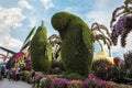 Huge penguins made from plants in the botanical Dubai Miracle Garden in Dubai city, United Arab Emirates