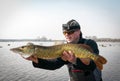 Huge pike fishing seaon Royalty Free Stock Photo