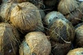 Huge pile of cracked in half empty coconuts shells, husks, collected for recycling, rough hairy texture