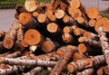 A huge pile of different logs Royalty Free Stock Photo