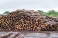 A huge pile of logs from the forest, a sawmill, timber for export, log Royalty Free Stock Photo