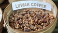 Kopi Luwak or Civet Coffee, Bali, Indonesia