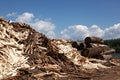 Huge pile of wood waste