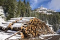 Huge piles of logs for a lumber factory in Carezza in Trentino Alto Adige Royalty Free Stock Photo