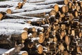 Huge piles of logs for a lumber factory in Carezza in Trentino Alto Adige Royalty Free Stock Photo