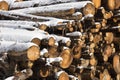 Huge piles of logs for a lumber factory in Carezza in Trentino Alto Adige Royalty Free Stock Photo