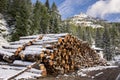 Huge piles of logs for a lumber factory in Carezza in Trentino Alto Adige Royalty Free Stock Photo