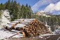 Huge piles of logs for a lumber factory in Carezza in Trentino Alto Adige Royalty Free Stock Photo
