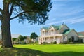 Huge pine tree and expensive house on golf estate Royalty Free Stock Photo