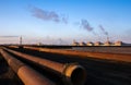 Huge plant on the background of lying pipes at sunset.