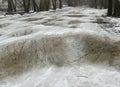 Huge puddle with reflection of tree and branches on a winter road Royalty Free Stock Photo