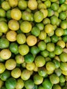 Huge quantity of lemon in one frame arranged beautifully close up view