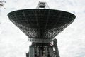 Huge radio telescope in the forest