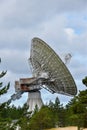 A huge radio telescope in a pine forest