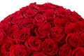 huge red roses bouquet isolated on white background. luxury Bouquet of one hundred dark ruby roses for valentines day. Celebration