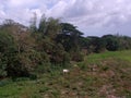 Huge rivers drying up in the countryside are prevalent during long summer.