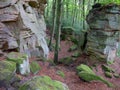 Rocks on the Mullerthal Trail in Berdorf, Luxembourg