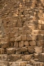 A dog staying on a block of stone on a side of the great pyramid of giza