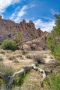 Huge rocks dead tree and Joshua tree plants at Joshua Tree National Park Royalty Free Stock Photo