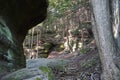 Huge rocks in evergreen forest