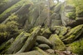 Huge rocks in the forest Royalty Free Stock Photo