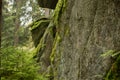 Huge rocks in the forest Royalty Free Stock Photo