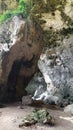 Huge rocks with vegatation inside a cave in Loiza, Puerto Rico