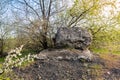 A huge rocky composition. A large textured stone of rough gray concrete on an equally large slab, surrounded by blooming spring tr