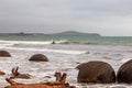 The huge round boulders of Moeraki. The Pacific coast. New Zealand Royalty Free Stock Photo