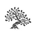 Huge and sacred oak tree plant silhouette logo isolated on white background. Royalty Free Stock Photo