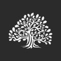 Huge and sacred oak tree silhouette logo badge isolated on dark background. Royalty Free Stock Photo